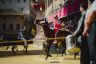Palio 2 luglio 2019: la gallery della prima e della seconda prova